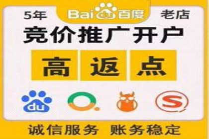 电商平台的SEM关键词优化与推广案例